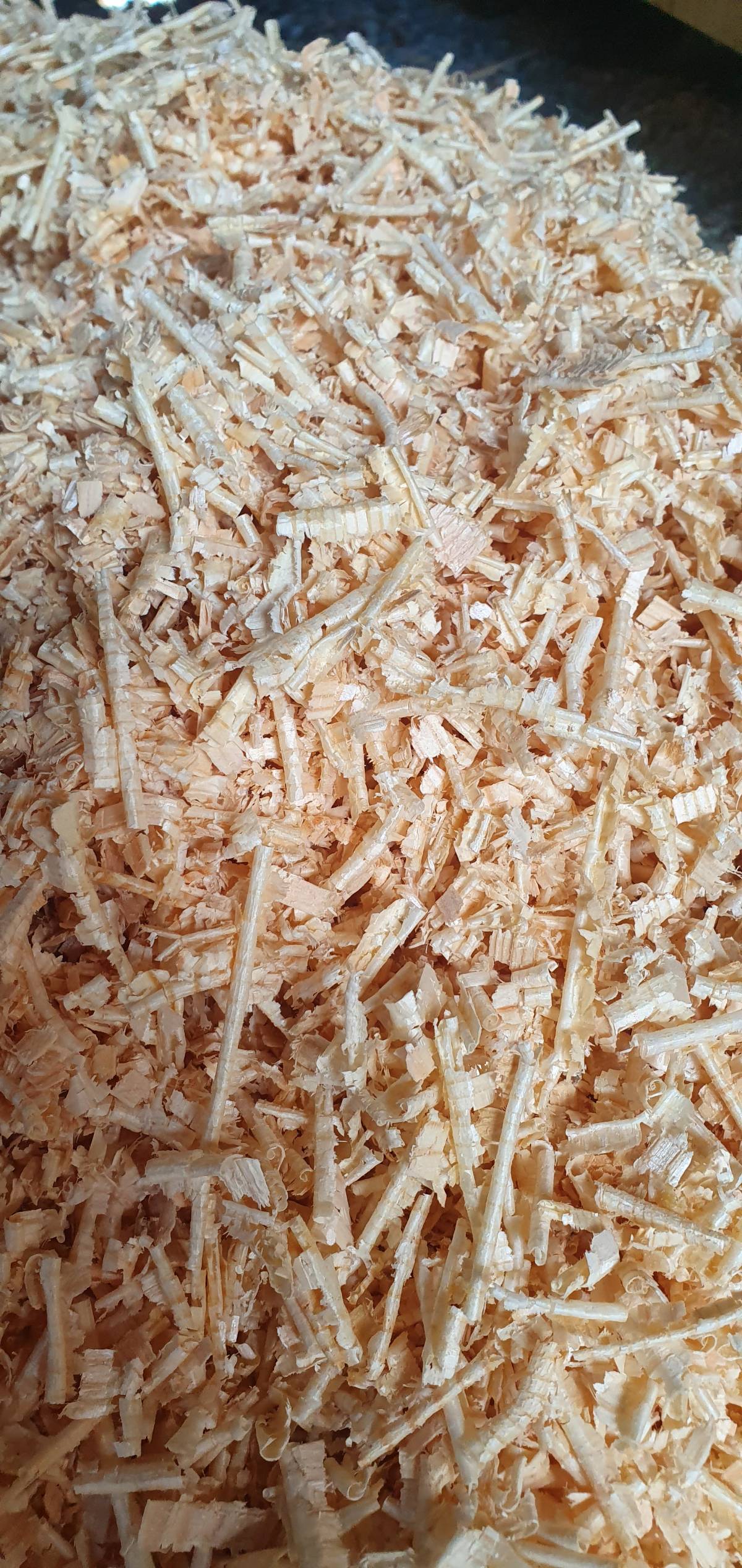 Стружка сосновая мешок